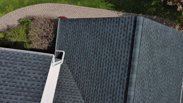 Best Roof Moss and Algae Removal  in Riverside, PA